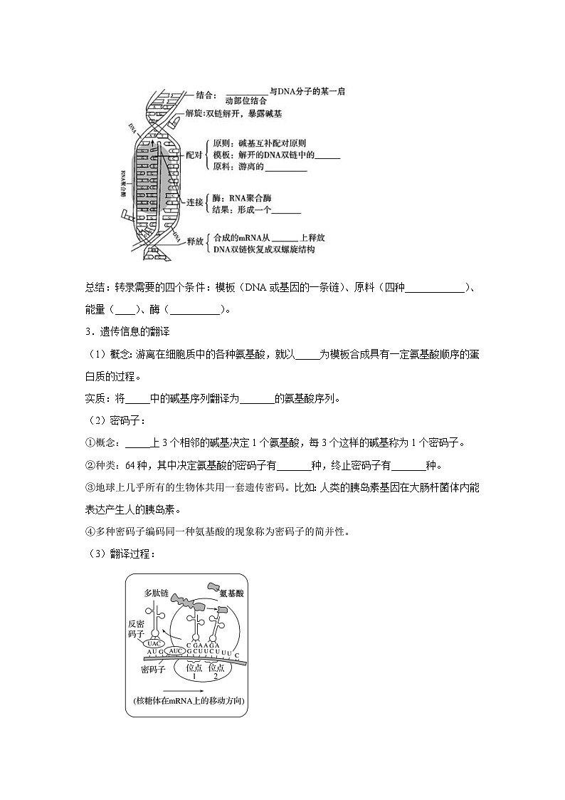 专题18 基因的表达(教师版)第2页