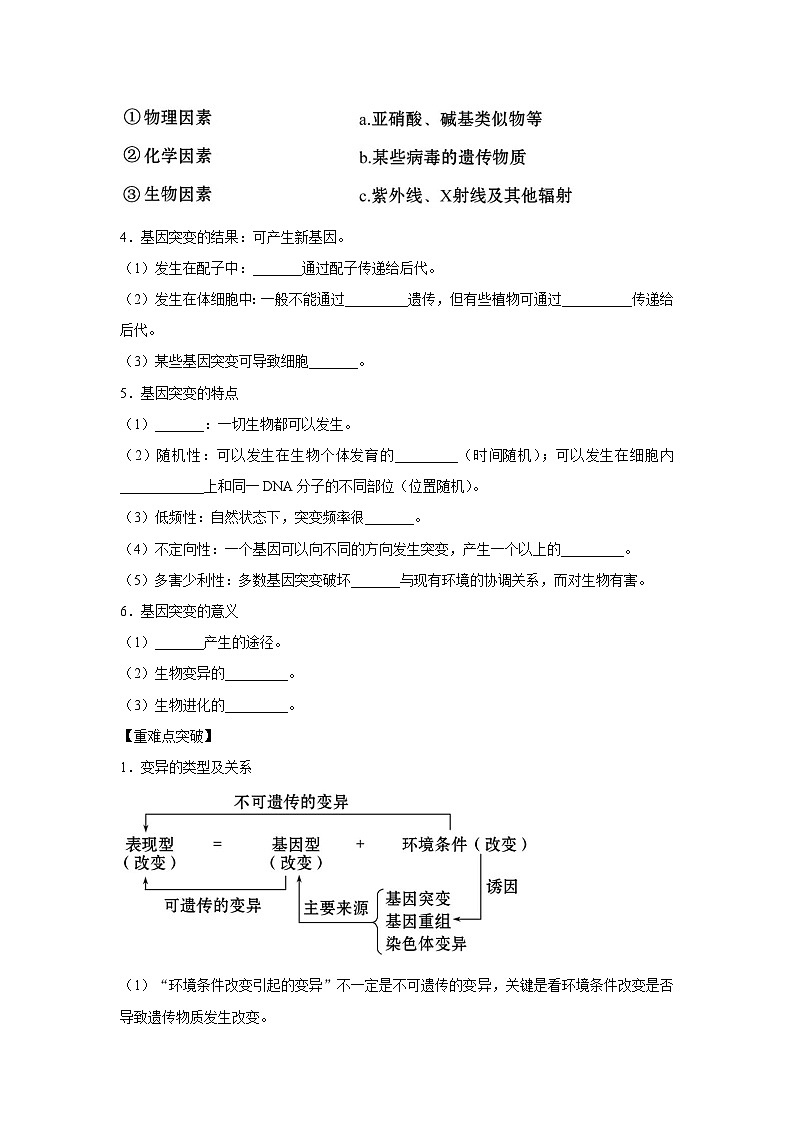 专题19 基因突变和基因重组(教师版)第2页