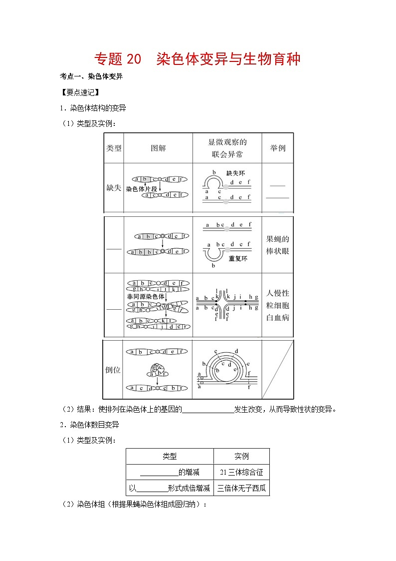 专题20 染色体变异与生物育种（解析版）第1页