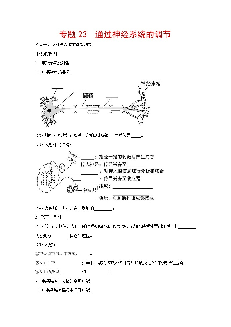 专题23 通过神经系统的调节（教师版）第1页