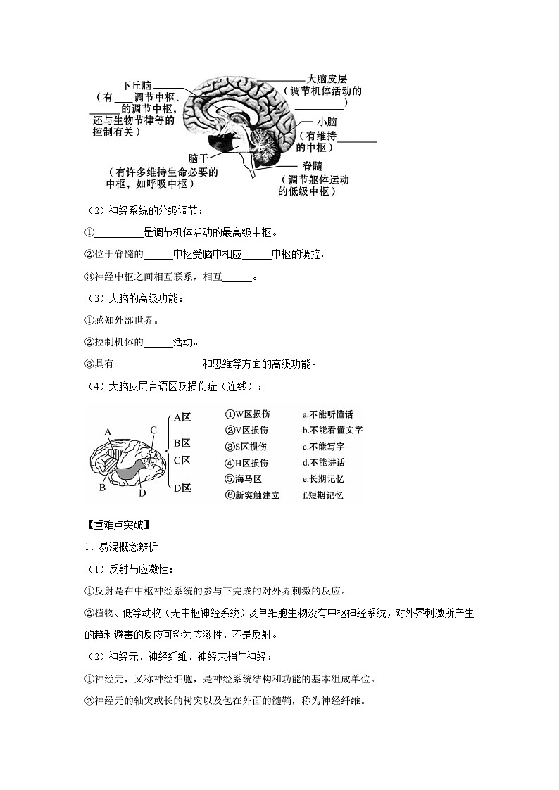 专题23 通过神经系统的调节（教师版）第2页