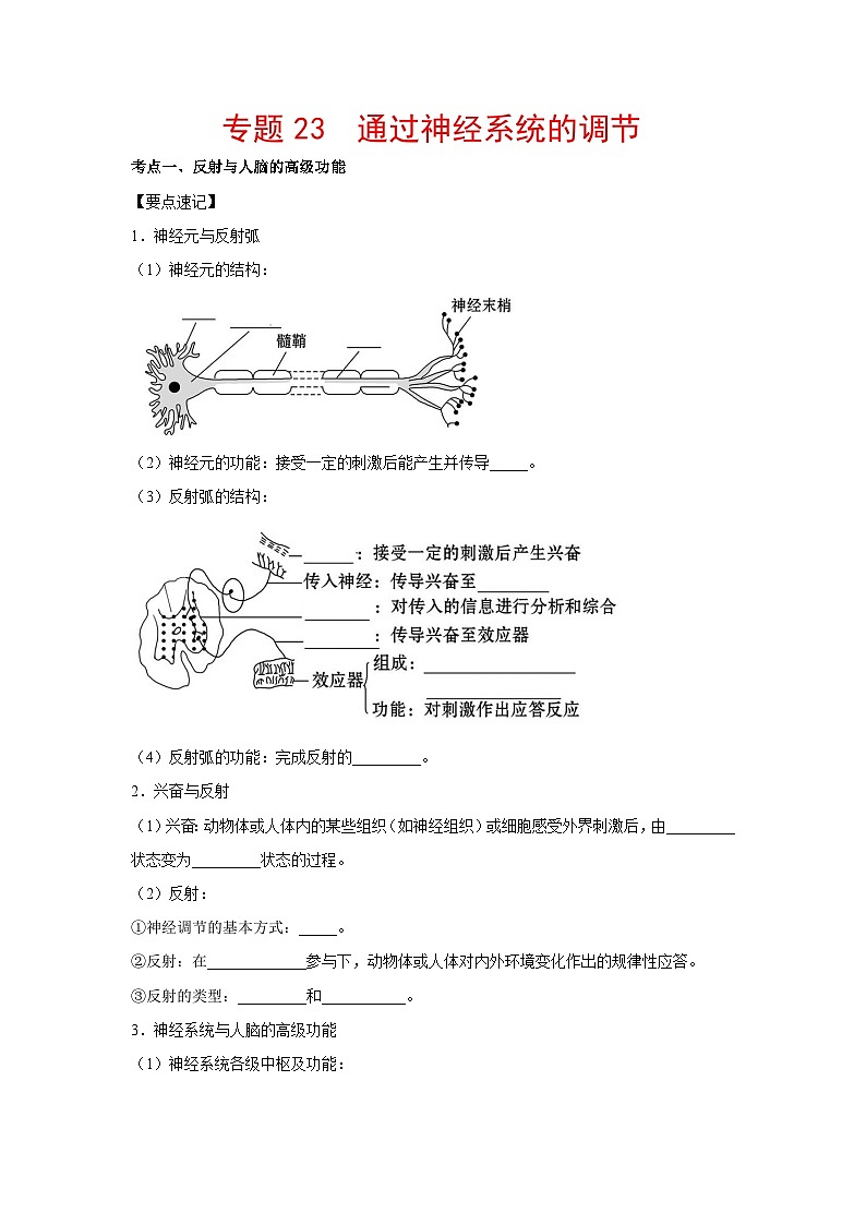 专题23 通过神经系统的调节（学生版）第1页
