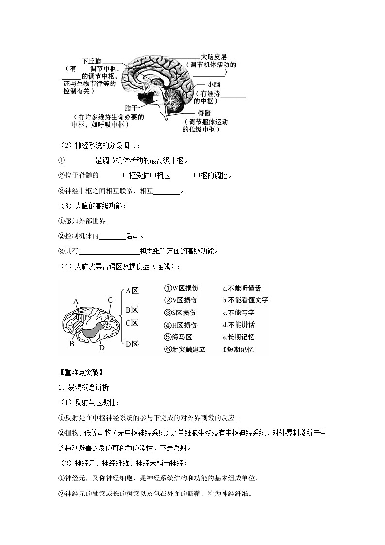 专题23 通过神经系统的调节（学生版）第2页