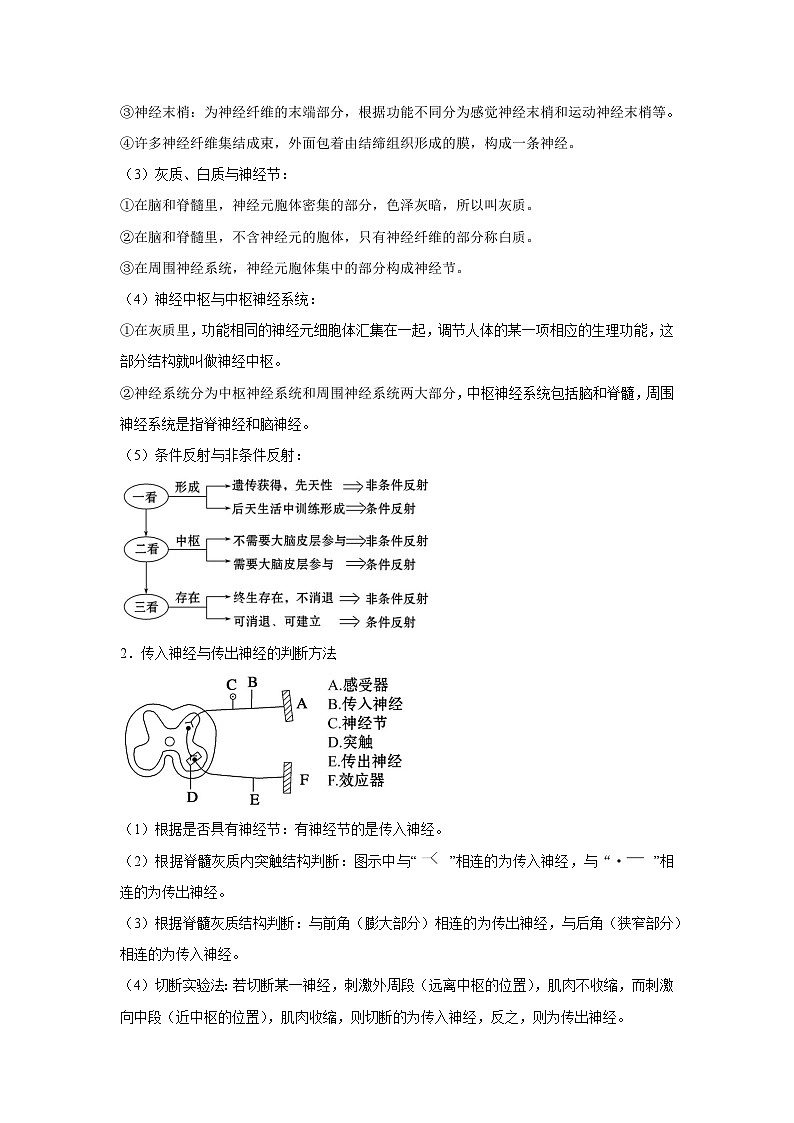 专题23 通过神经系统的调节（学生版）第3页