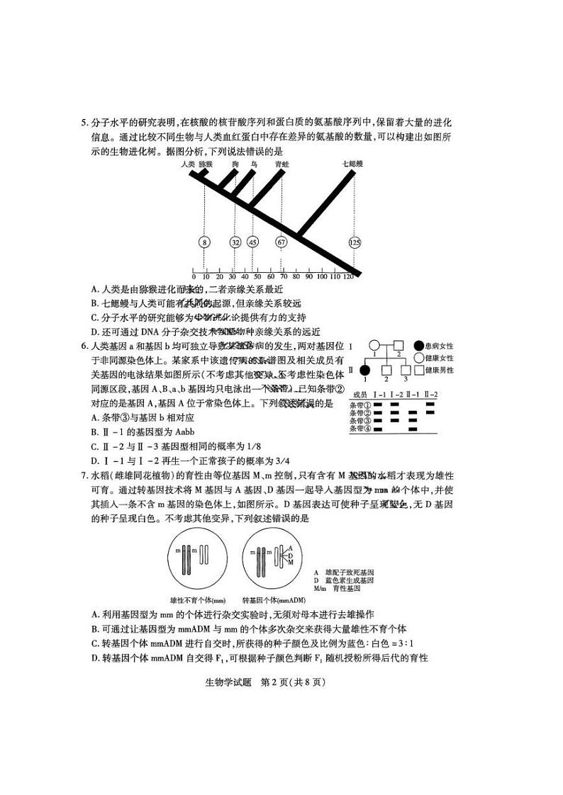 天一小高考2025届高三高考第二次模拟考试-生物试卷+答案第2页