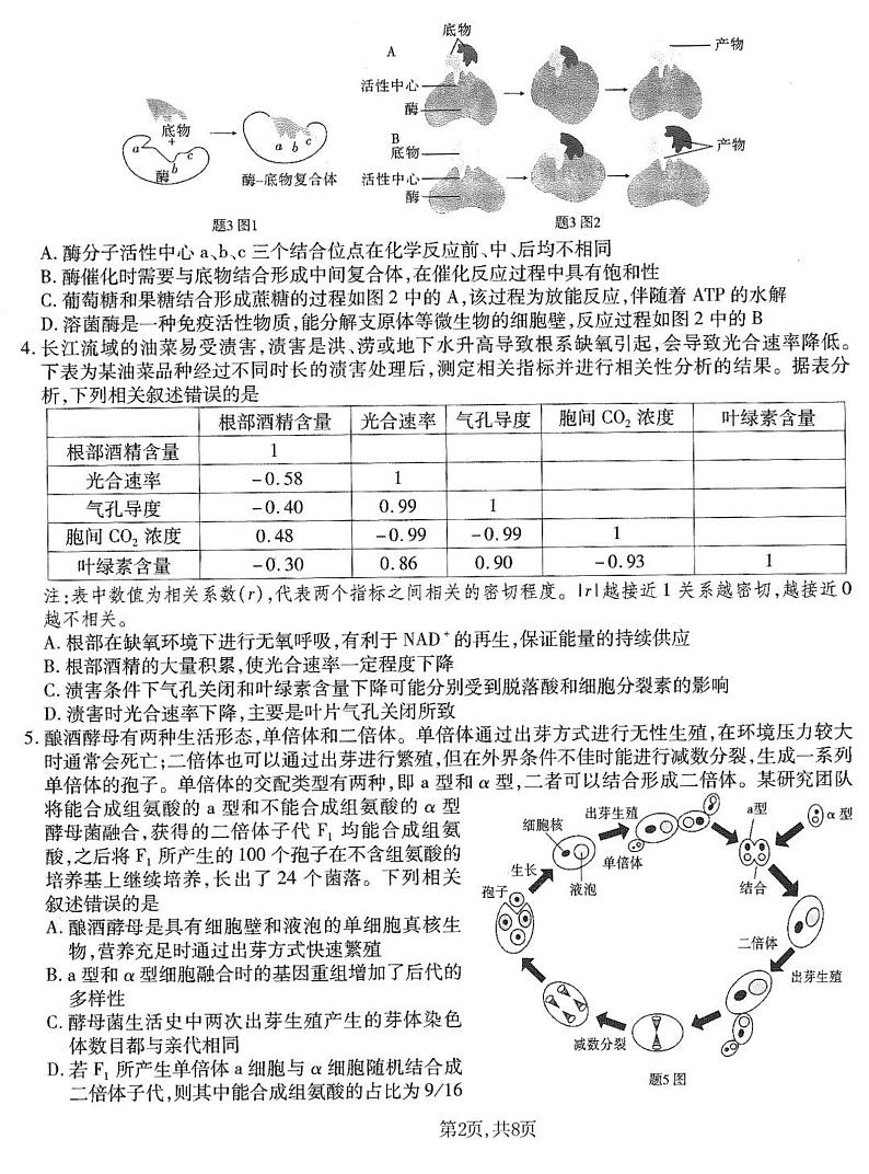 重庆市南开中学高2025届高三上学期1月第五次质量检测生物+答案第2页