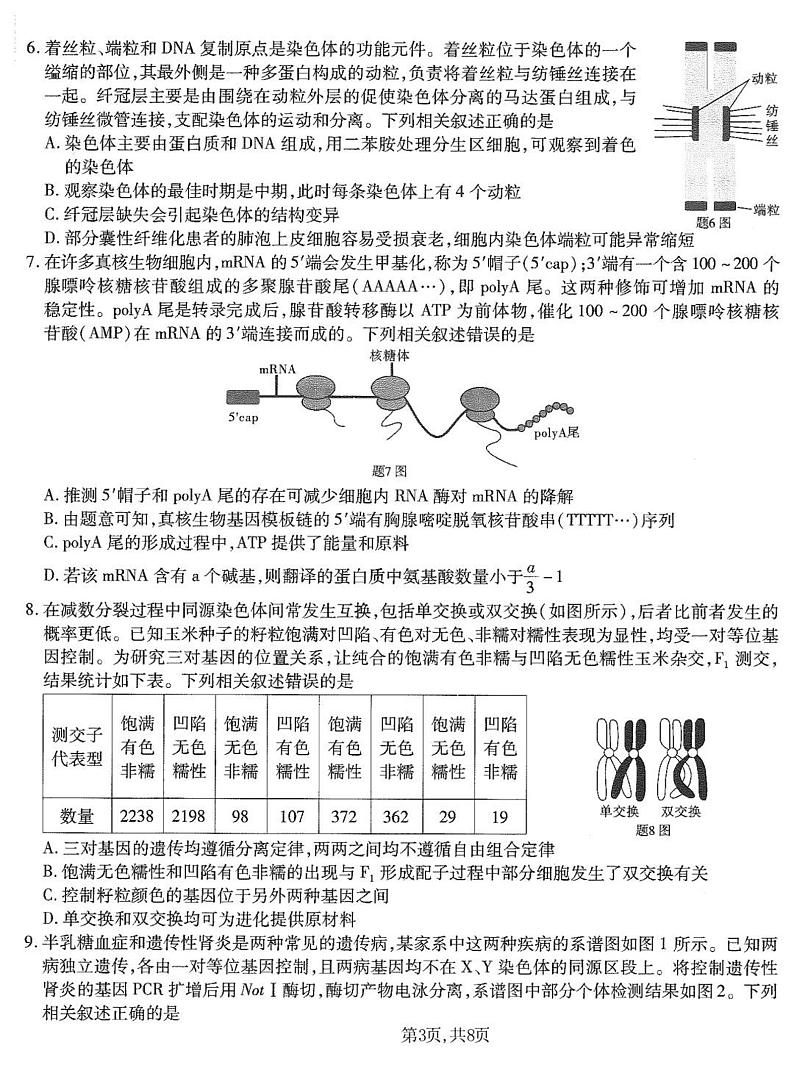 重庆市南开中学高2025届高三上学期1月第五次质量检测生物+答案第3页