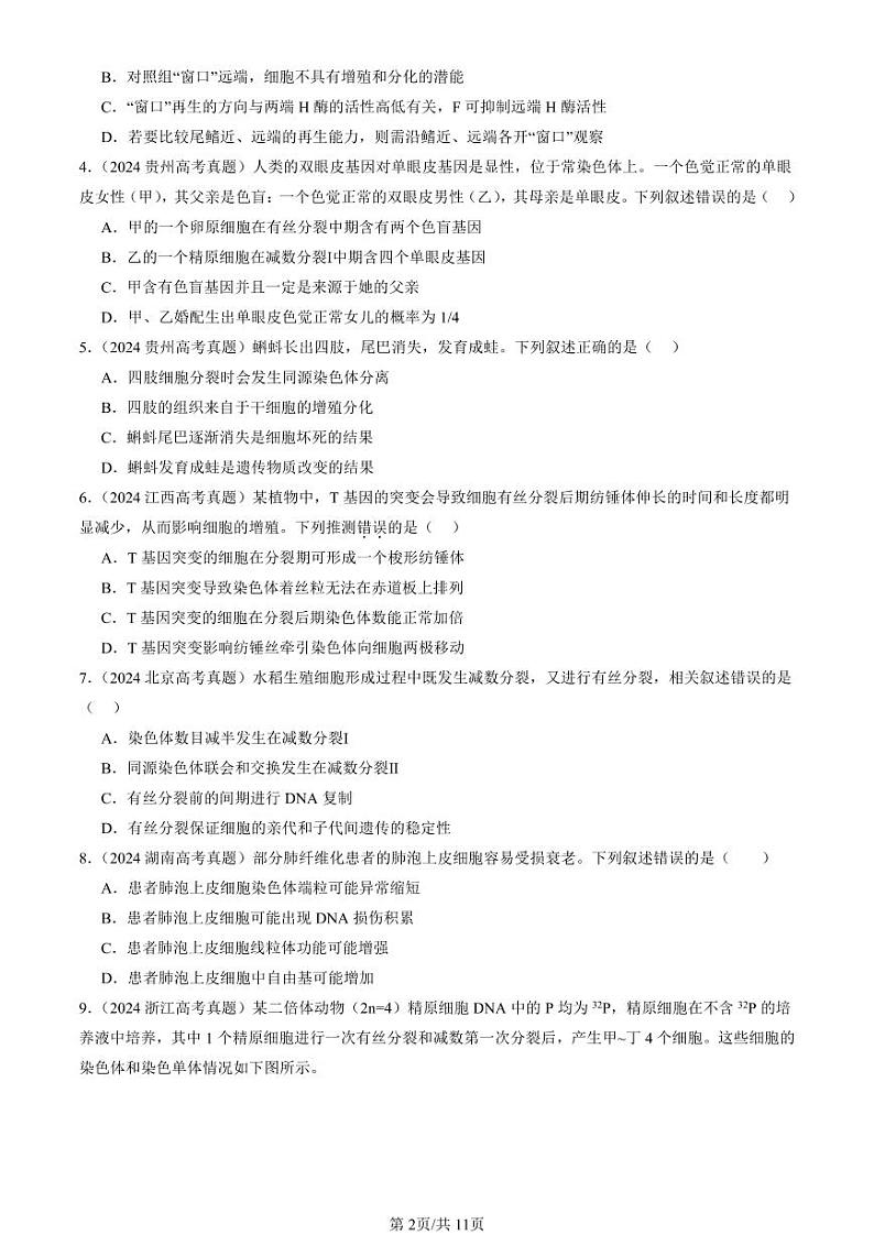 2024全国高考真题生物汇编：细胞的生命历程章节综合第2页