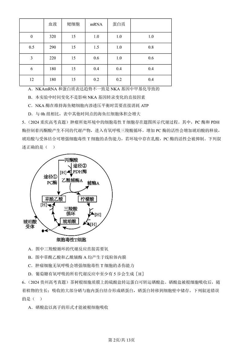 2024全国高考真题生物汇编：细胞的物质输入与输出章节综合第2页