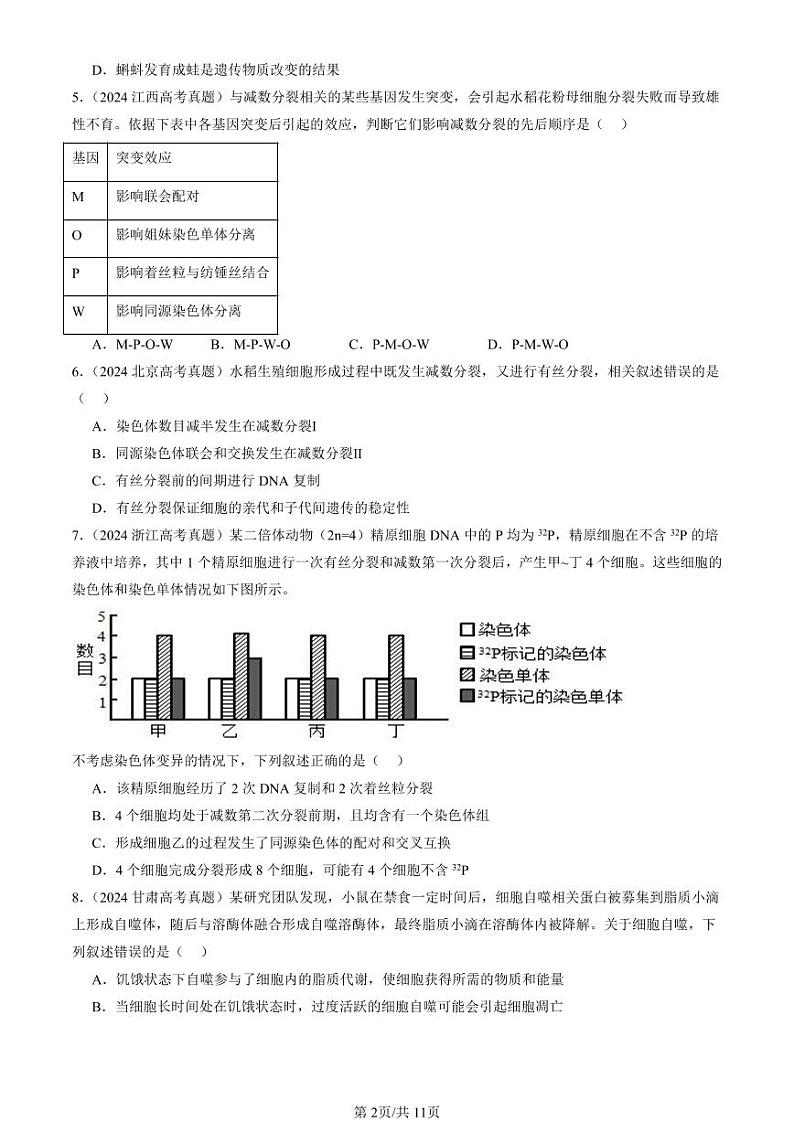 2024全国高考真题生物汇编：减数分裂和受精作用第2页