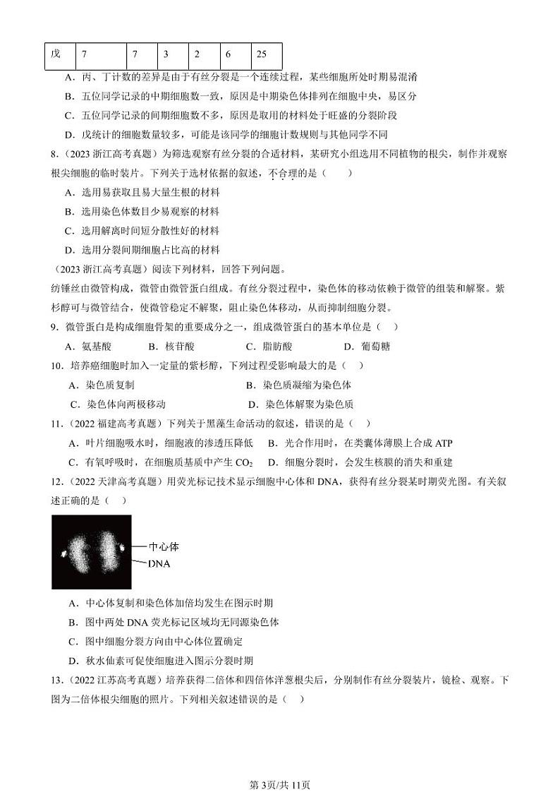 2022-2024全国高考真题生物汇编：细胞的增殖第3页