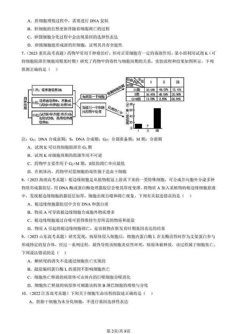 2022-2024全国高考真题生物汇编：细胞的衰老和死亡第2页