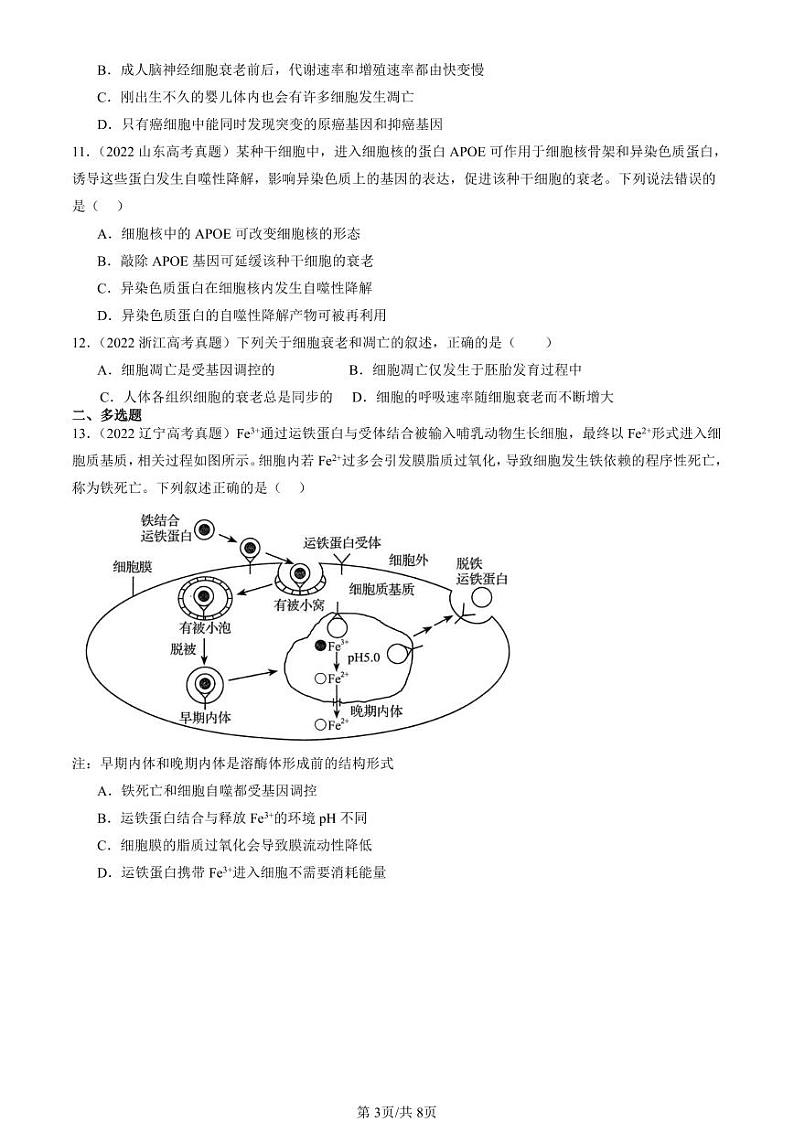 2022-2024全国高考真题生物汇编：细胞的衰老和死亡第3页