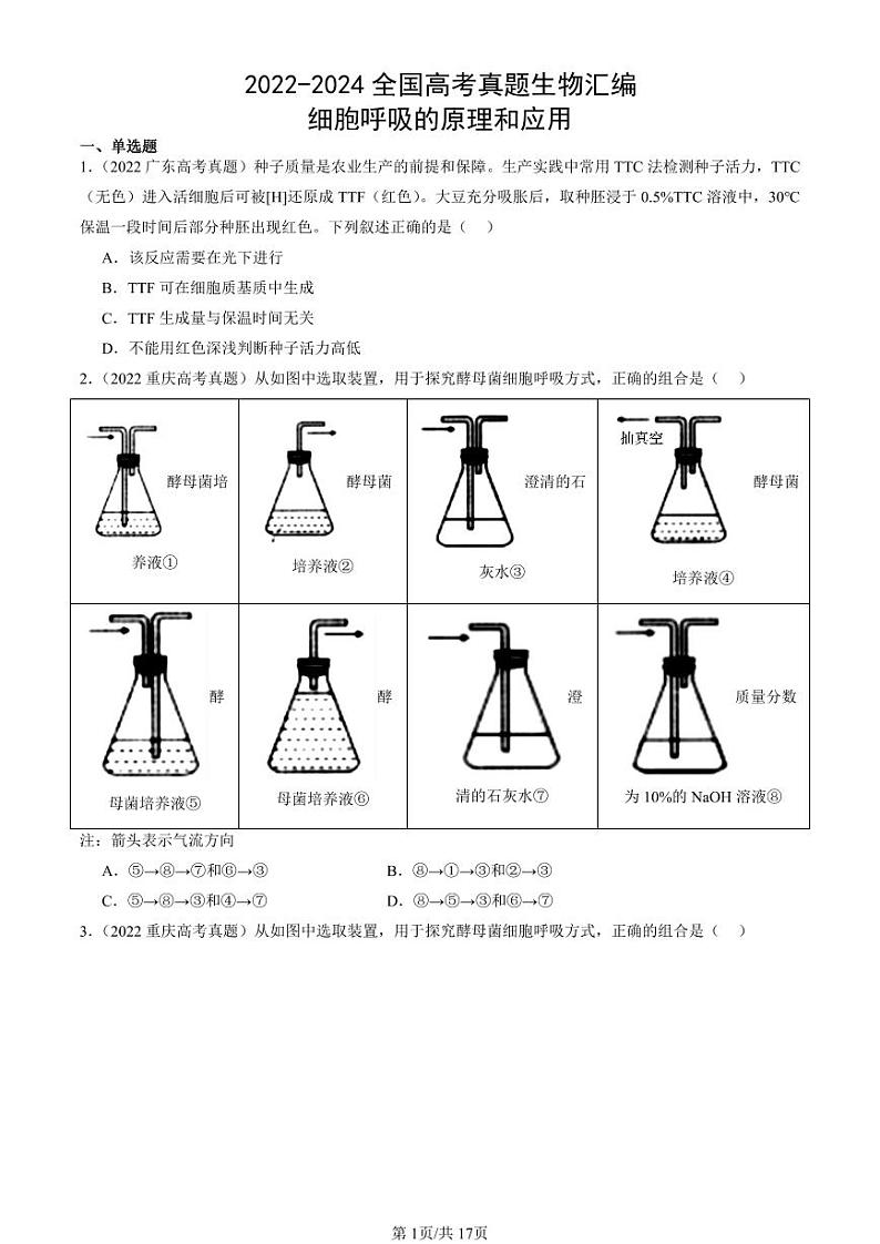 2022-2024全国高考真题生物汇编：细胞呼吸的原理和应用第1页