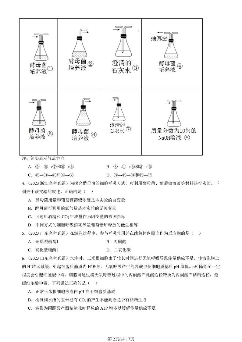 2022-2024全国高考真题生物汇编：细胞呼吸的原理和应用第2页