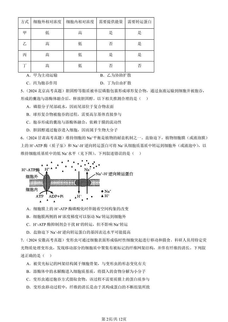 2022-2024全国高考真题生物汇编：主动运输与胞吞、胞吐第2页