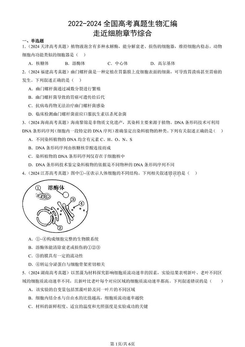2022-2024全国高考真题生物汇编：走近细胞章节综合第1页