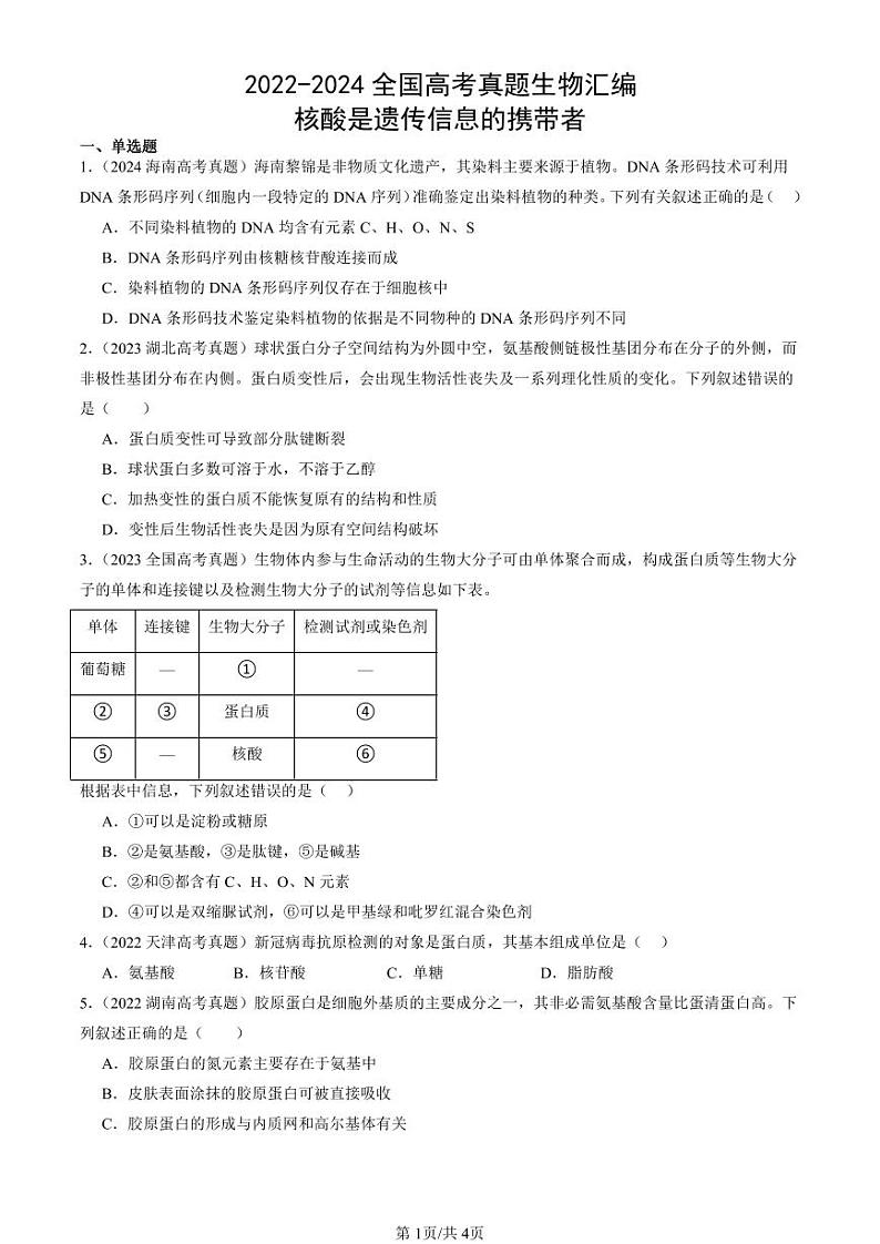 2022-2024全国高考真题生物汇编：核酸是遗传信息的携带者第1页