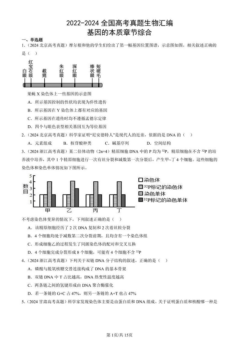 2022-2024全国高考真题生物汇编：基因的本质章节综合第1页