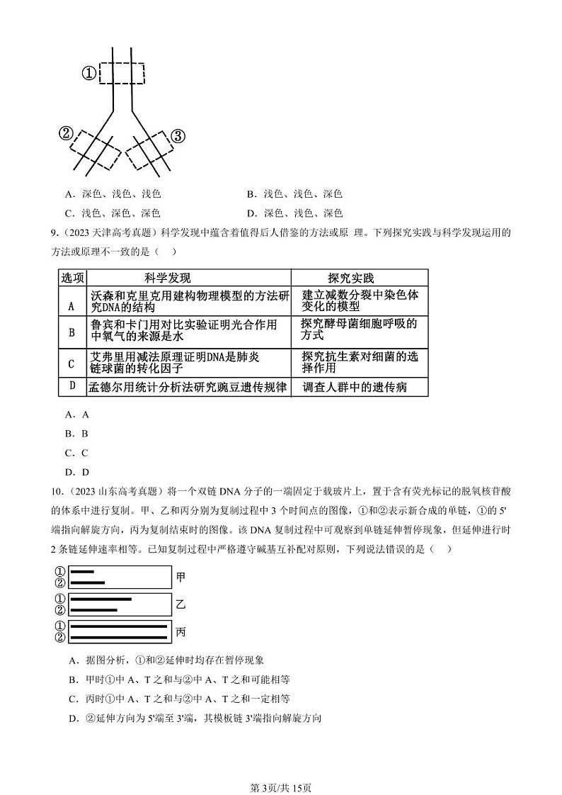 2022-2024全国高考真题生物汇编：基因的本质章节综合第3页