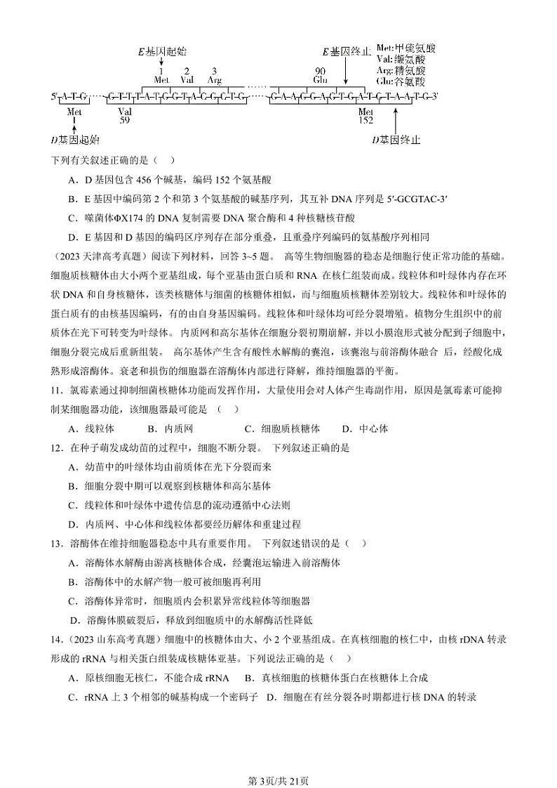 2022-2024全国高考真题生物汇编：基因指导蛋白质的合成第3页