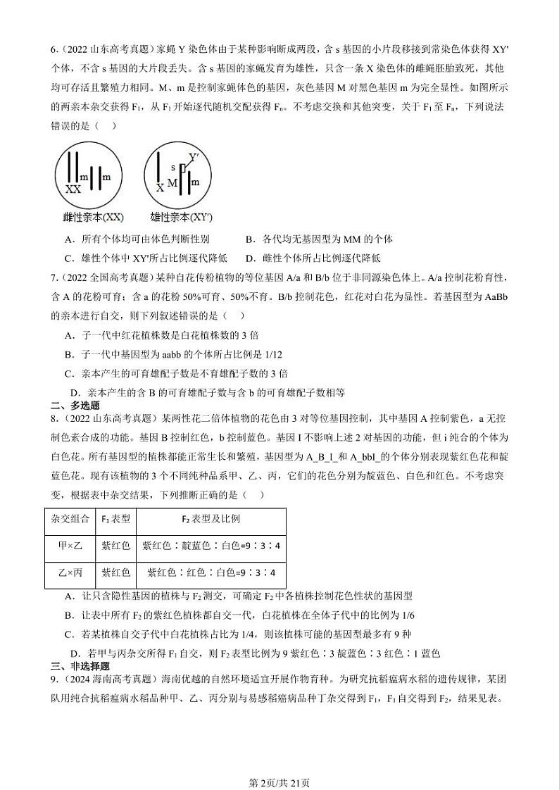 2022-2024全国高考真题生物汇编：孟德尔的豌豆杂交实验（二）第2页