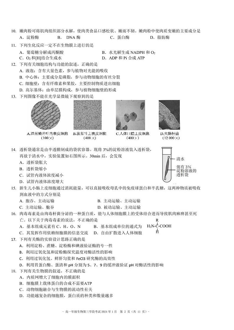 2024北京二中高一（上）段考三生物试卷第2页