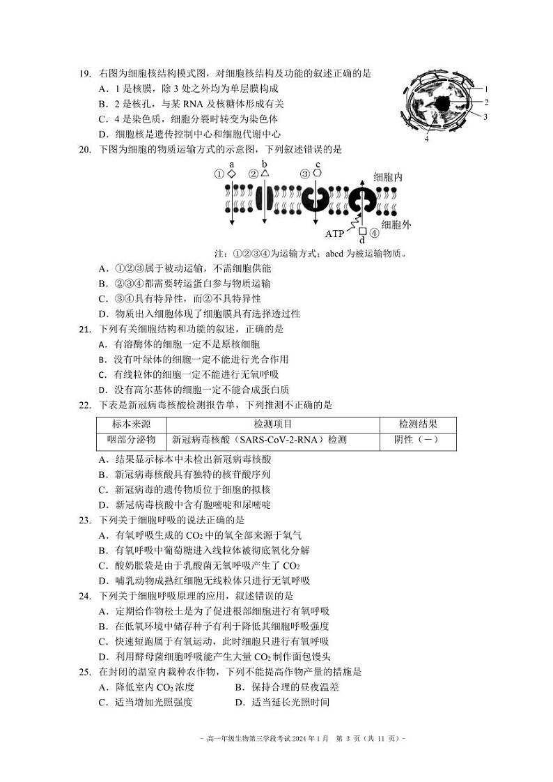 2024北京二中高一（上）段考三生物试卷第3页