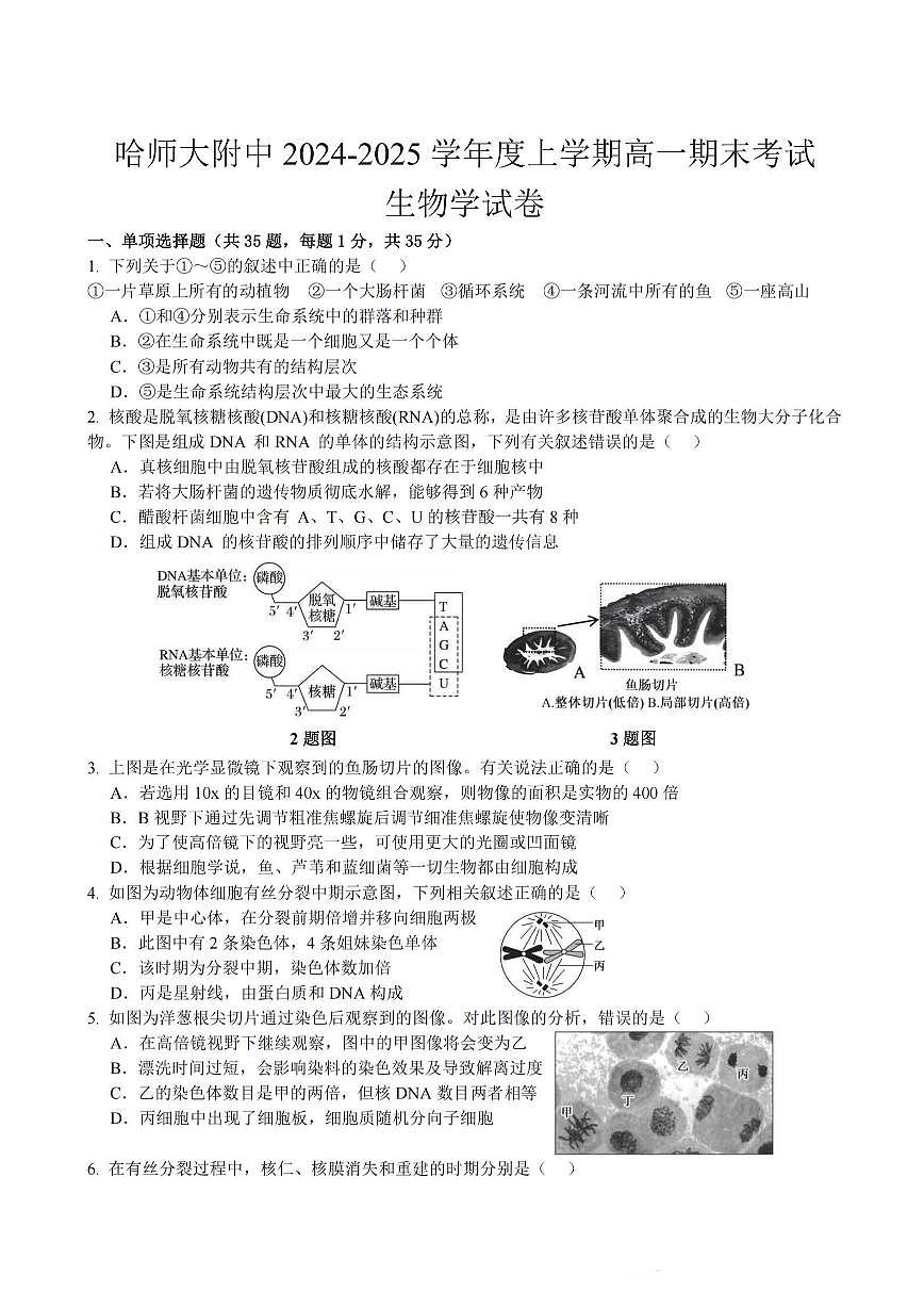 2025哈师大附中高一（上）期末生物试题及答案第1页
