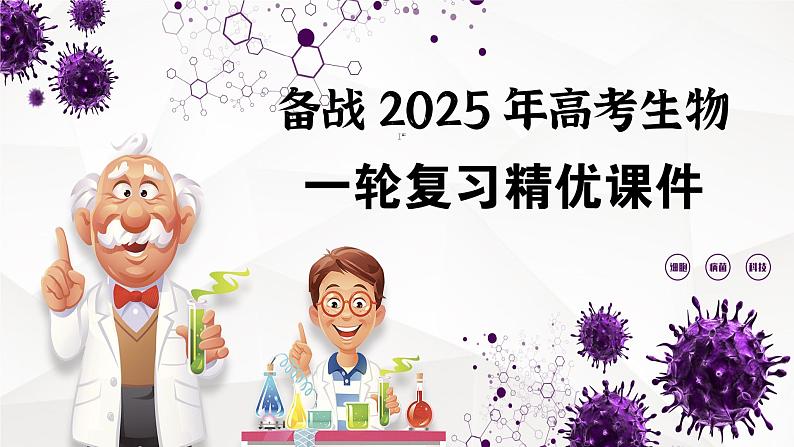 第04讲 细胞膜和细胞核-【高考一轮】备战2025年高考生物一轮复习精优课件第1页