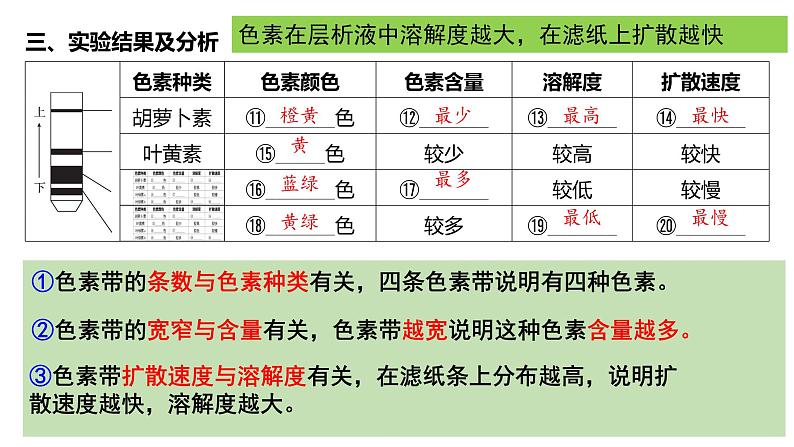 第09讲 捕获光能的色素和光合作用的过程-【高考一轮】备战2025年高考生物一轮复习精优课件第7页