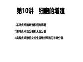 第10讲 细胞的增殖-【高考一轮】备战2025年高考生物一轮复习精优课件
