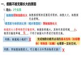 第10讲 细胞的增殖-【高考一轮】备战2025年高考生物一轮复习精优课件