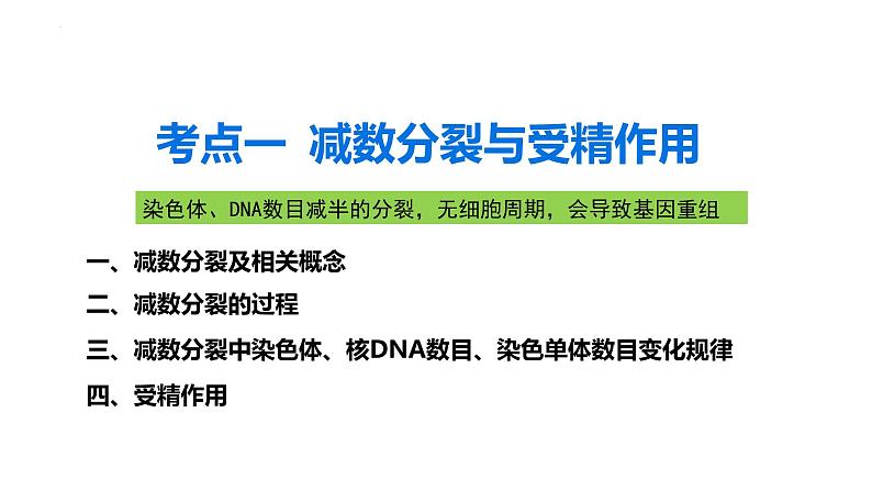 第11讲 减数分裂与受精作用-【高考一轮】备战2025年高考生物一轮复习精优课件第3页