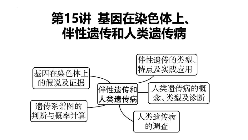 第15讲 基因在染色体上、伴性遗传和人类遗传病-【高考一轮】备战2025年高考生物一轮复习精优课件第2页