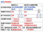 第15讲 基因在染色体上、伴性遗传和人类遗传病-【高考一轮】备战2025年高考生物一轮复习精优课件