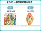 第22讲 人体的内环境与稳态-【高考一轮】备战2025年高考生物一轮复习精优课件