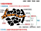第22讲 人体的内环境与稳态-【高考一轮】备战2025年高考生物一轮复习精优课件