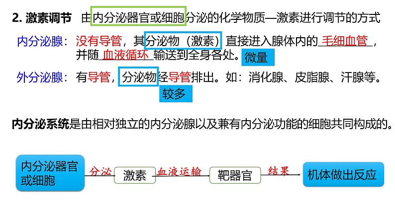 第24讲 体液调节-【高考一轮】备战2025年高考生物一轮复习精优课件第7页