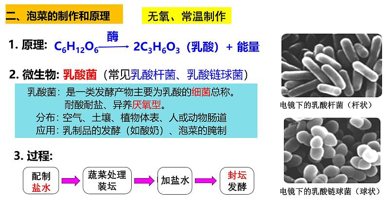 第32讲 发酵工程-【高考一轮】备战2025年高考生物一轮复习精优课件第7页