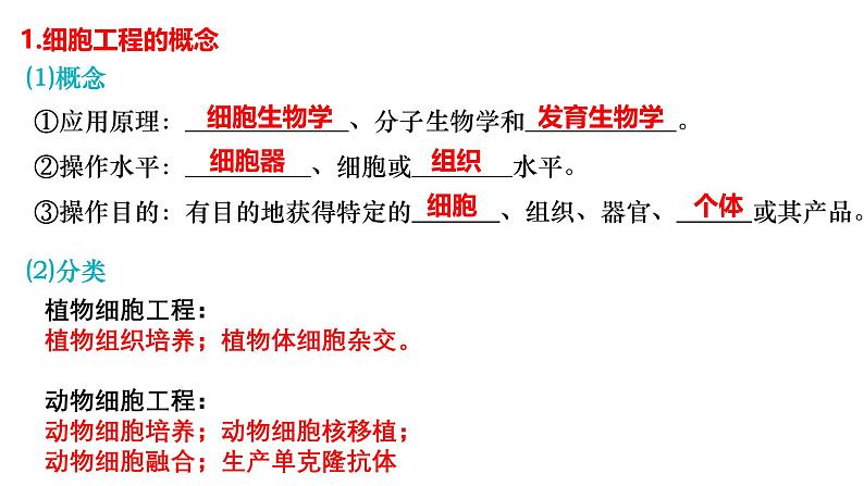 第33讲 植物细胞工程-【高考一轮】备战2025年高考生物一轮复习精优课件第3页