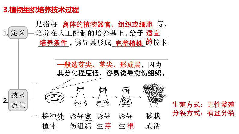 第33讲 植物细胞工程-【高考一轮】备战2025年高考生物一轮复习精优课件第5页