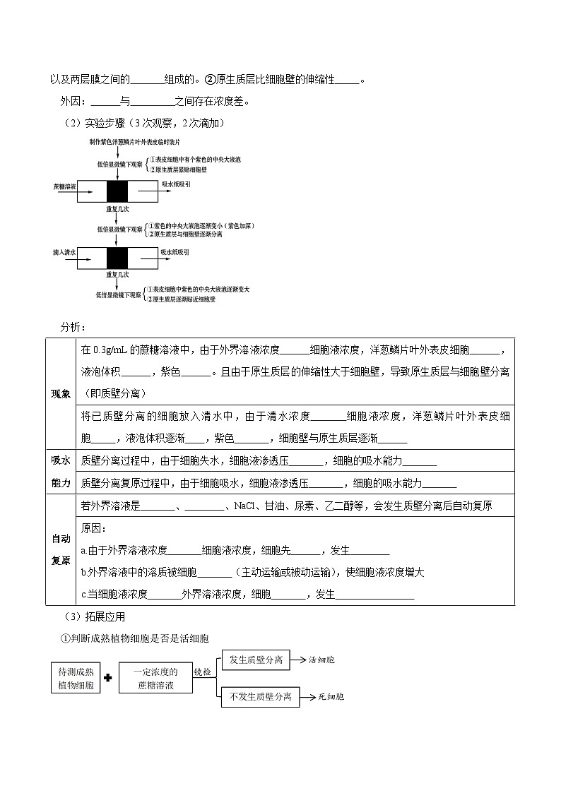 题型3 物质进出细胞的方式（核心知识）（原卷版）第2页