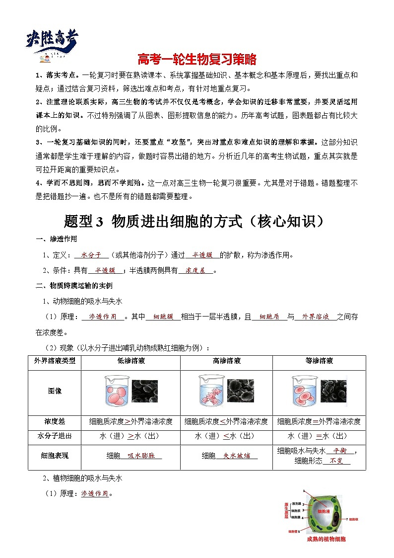 题型3 物质进出细胞的方式（核心知识）（解析版）第1页