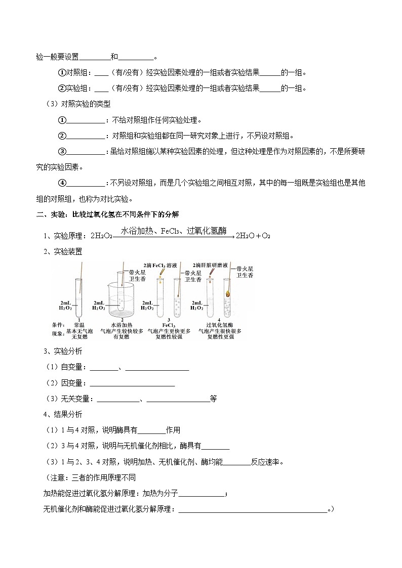题型4 与酶相关的实验设计与分析（核心知识）（原卷版）第2页