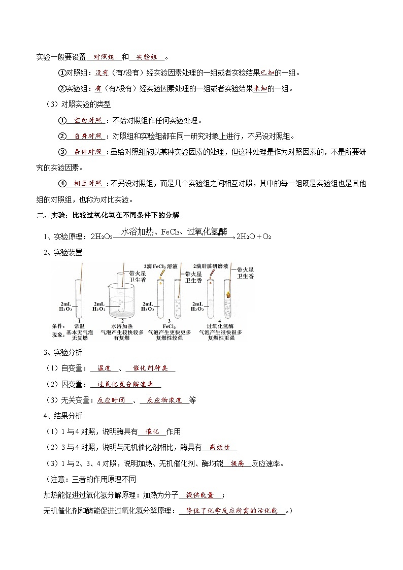 题型4 与酶相关的实验设计与分析（核心知识）（解析版）第2页