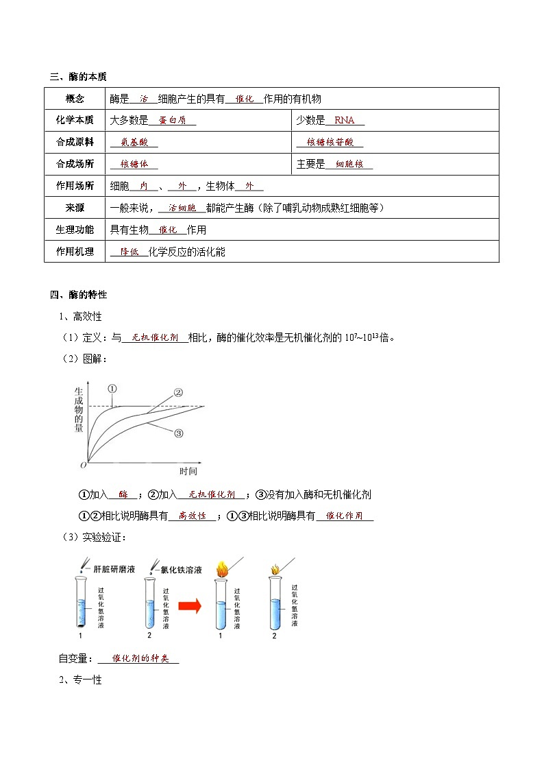 题型4 与酶相关的实验设计与分析（核心知识）（解析版）第3页