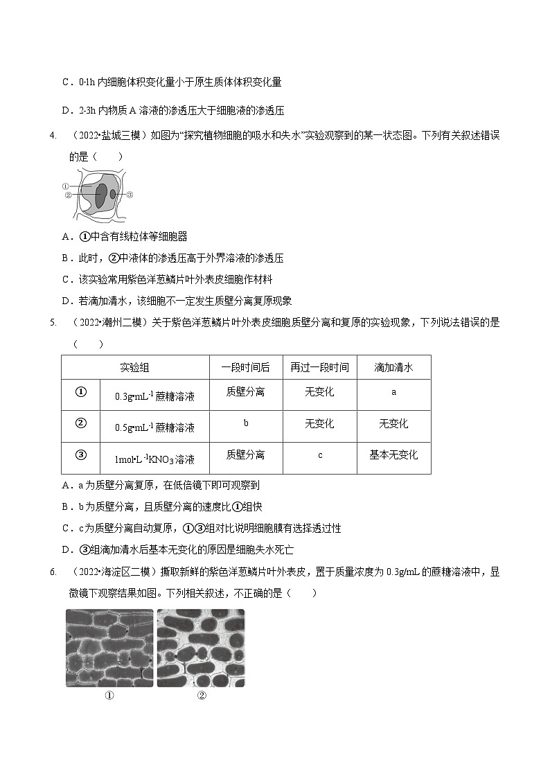 题型3 物质进出细胞的方式（题型集训）（原卷版）第2页