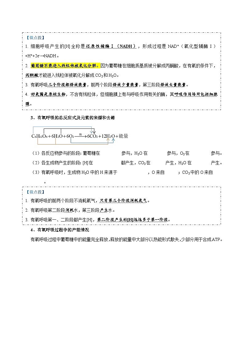题型5 从物质与能量视角探索光合作用（核心知识）（原卷版）第2页
