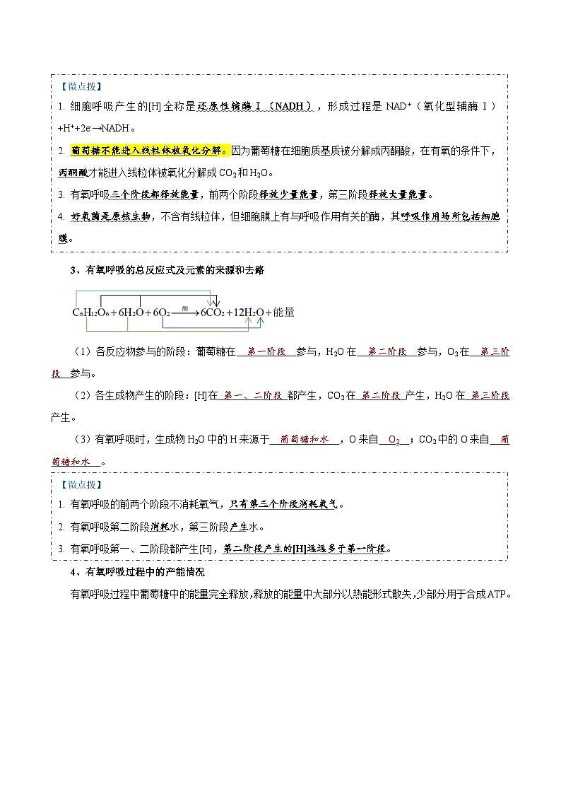 题型5 从物质与能量视角探索光合作用（核心知识）（解析版）第2页
